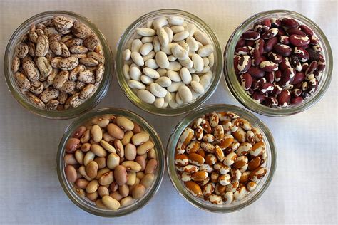 The Enchanting Journey of Bean Bean Fruit: From Seed to Song